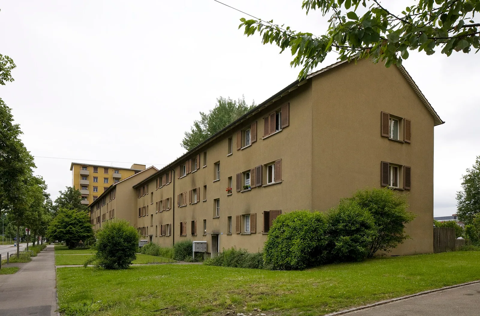 Bloki mieszkalne osiedla Luggweg w Zurychu wzdłuż ulicy z trawnikiem i drzewami